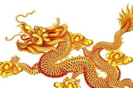 多久会开始涨粉丝？揭秘提升社交媒体粉丝数的秘密