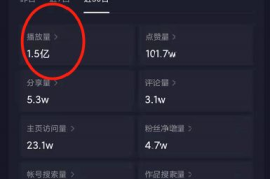 如何快速提升视频播放量？揭秘“怎么刷播放”的秘籍