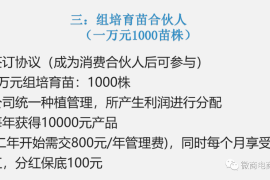 公众号怎么管理？快速提升运营效率的5个实用技巧