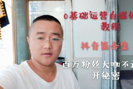 抖音粉丝暴涨的秘密：从0到百万的实战指南