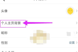 如何在懂车帝网页发布视频：一步步教你快速上手