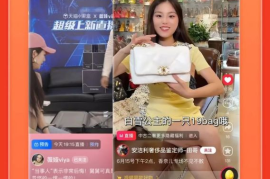 快手直播伴侣如何多开，实现直播收益最大化