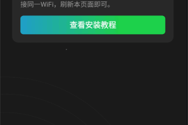 如何通过发布视频快速涨粉丝：掌握频率的秘密