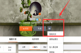 微博如何悄悄关注别人？实用攻略助你轻松实现！