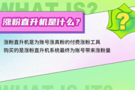 一起涨1千粉丝要多久？揭秘高效增长策略