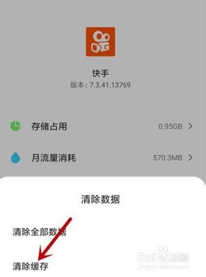 为什么快手闪退？快速解决闪退问题的全方位指南