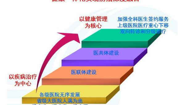 医教园小红书：提升医学生与医生学习效率的利器