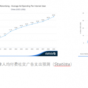 怎么成为小红书达人？实现社交媒体影响力的实用指南