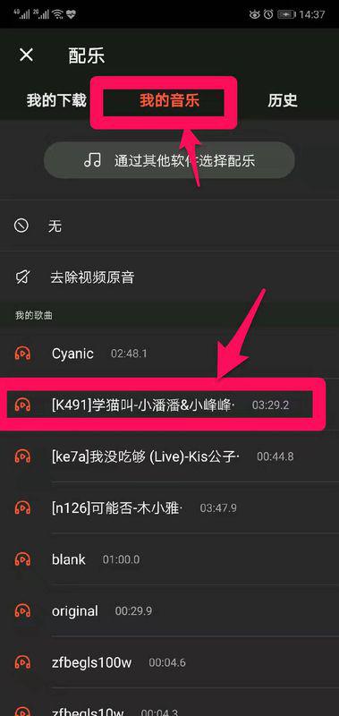 如何快速添加抖音号，轻松建立个人品牌