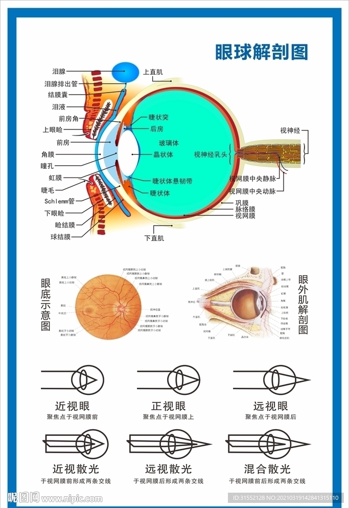 怎么编辑小红书图片，打造吸引眼球的高质内容