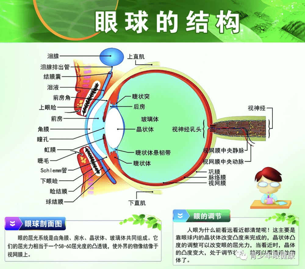 怎么编辑小红书图片，打造吸引眼球的高质内容