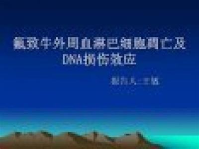 快手极速版如何快速赚钱?教你轻松上手的技巧与策略