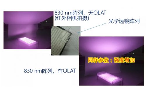 如何修改公众号名称?最全步骤与注意事项