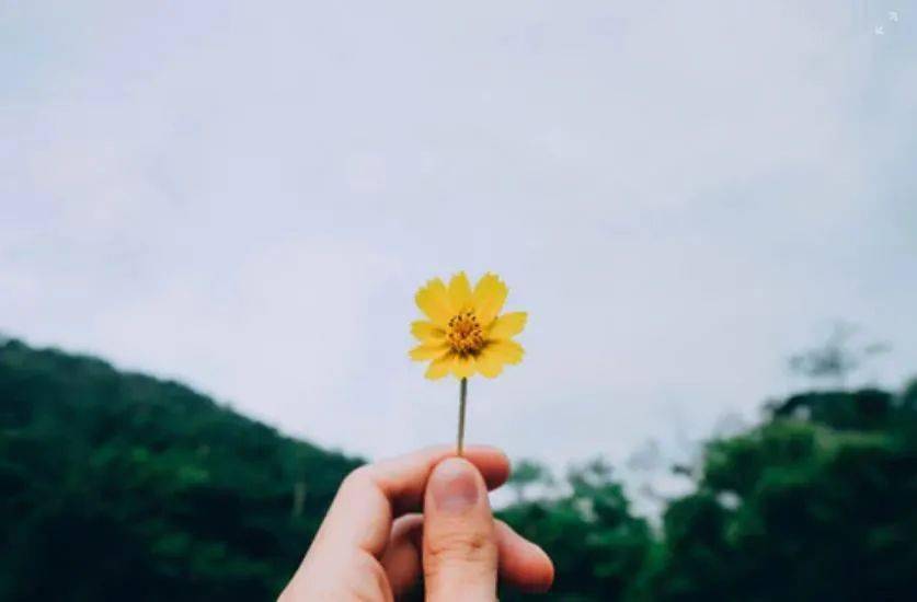快手怎么取消关注的人？一步步教你轻松操作！