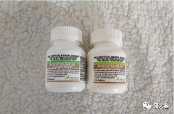 微博怎么申请加V：全面指南，助你快速认证成功