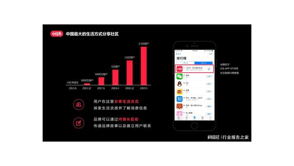 小红书数据怎么查询？揭秘小红书数据查询的高效方法