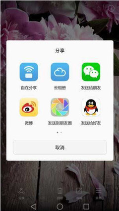 新浪微博如何加好友——解锁社交新体验