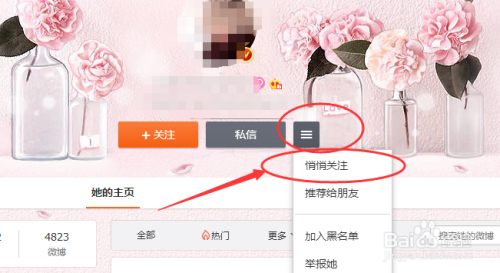 微博悄悄关注怎么看：轻松掌握他人动态的秘密技巧