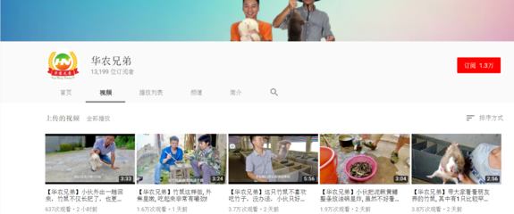 微博怎么让人关注？教你轻松涨粉的实用技巧！