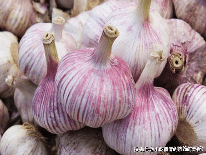 快速涨一万个粉丝要多久？教你如何高效突破！