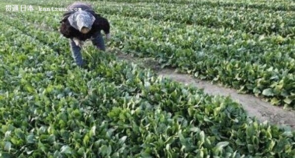 花几千万涨粉丝要多久？揭秘快速涨粉的秘密
