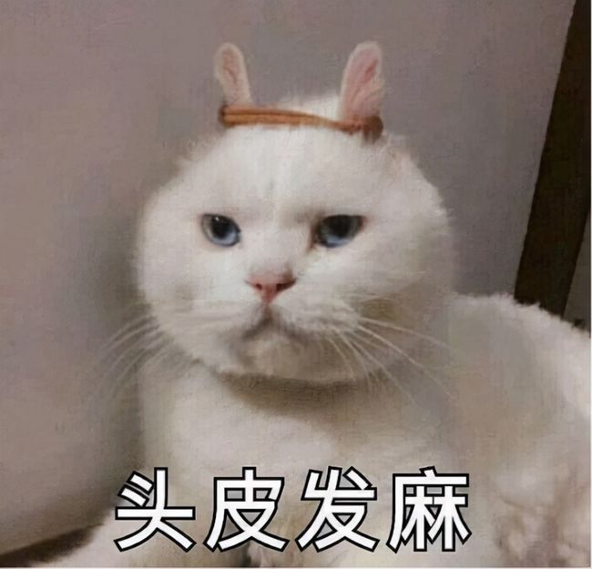 抖音憨厚贴纸在哪里?让你的短视频瞬间萌化!