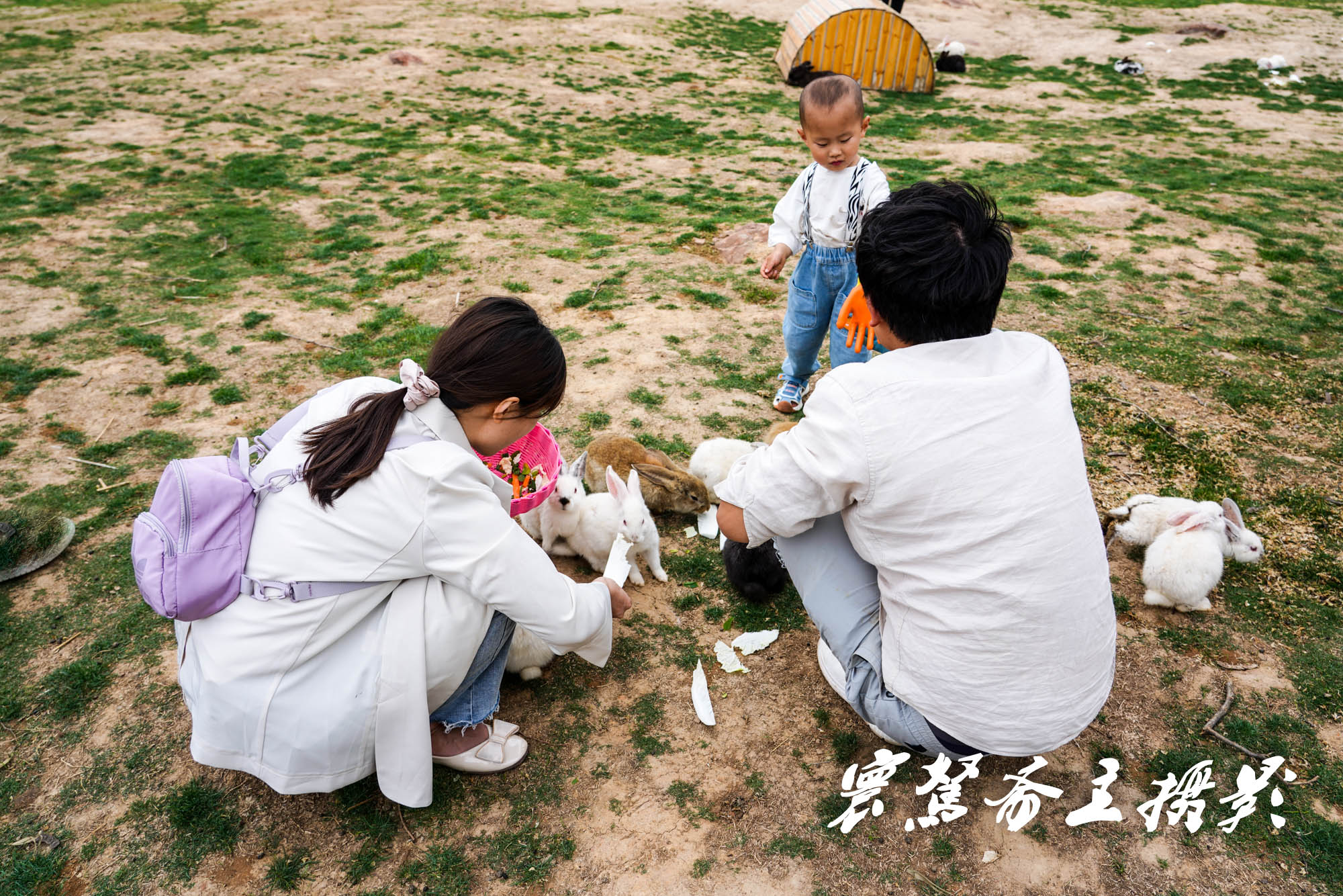 网易云刷播放器怎么弄?轻松提升音乐体验,畅享无限乐趣!
