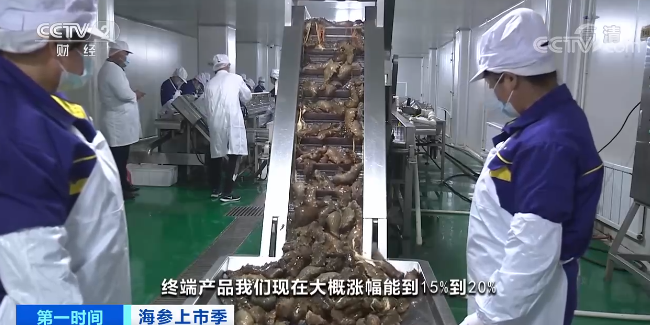 互粉涨一万个粉丝要多久？探索快速增长的秘密