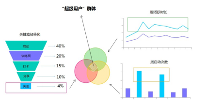 换领域后多久能涨粉丝？揭秘粉丝增长的关键因素！