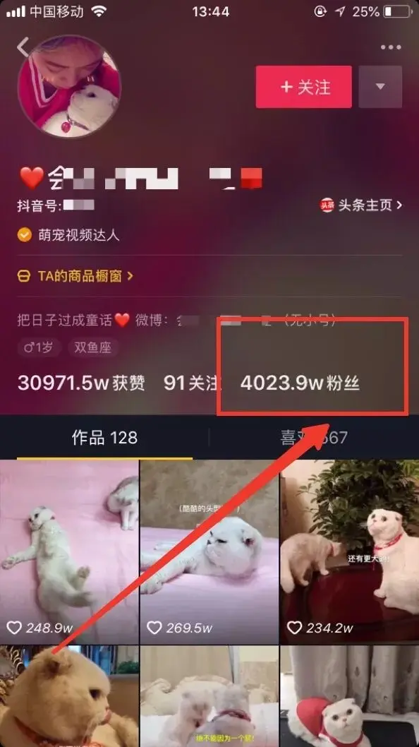 抖音等级在哪里?揭秘提升抖音等级的秘诀!