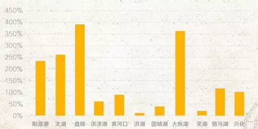 千粉计划:多久能够增长粉丝?揭秘背后的策略与技巧
