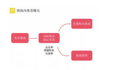 坚持更新多久能涨粉丝?教你轻松吸粉的秘诀