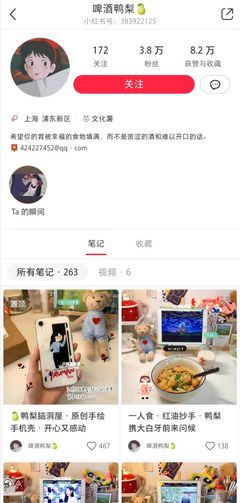 美食博主多久涨粉丝最多?揭秘成功的秘诀!
