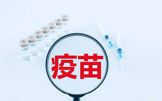 如何实现涨粉丝到1万?揭秘你的成功之路!
