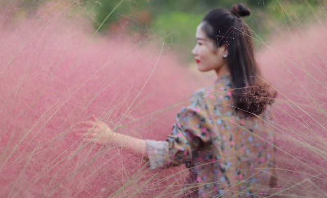 抖音粉黛在哪里?揭开“粉黛”背后的神秘面纱