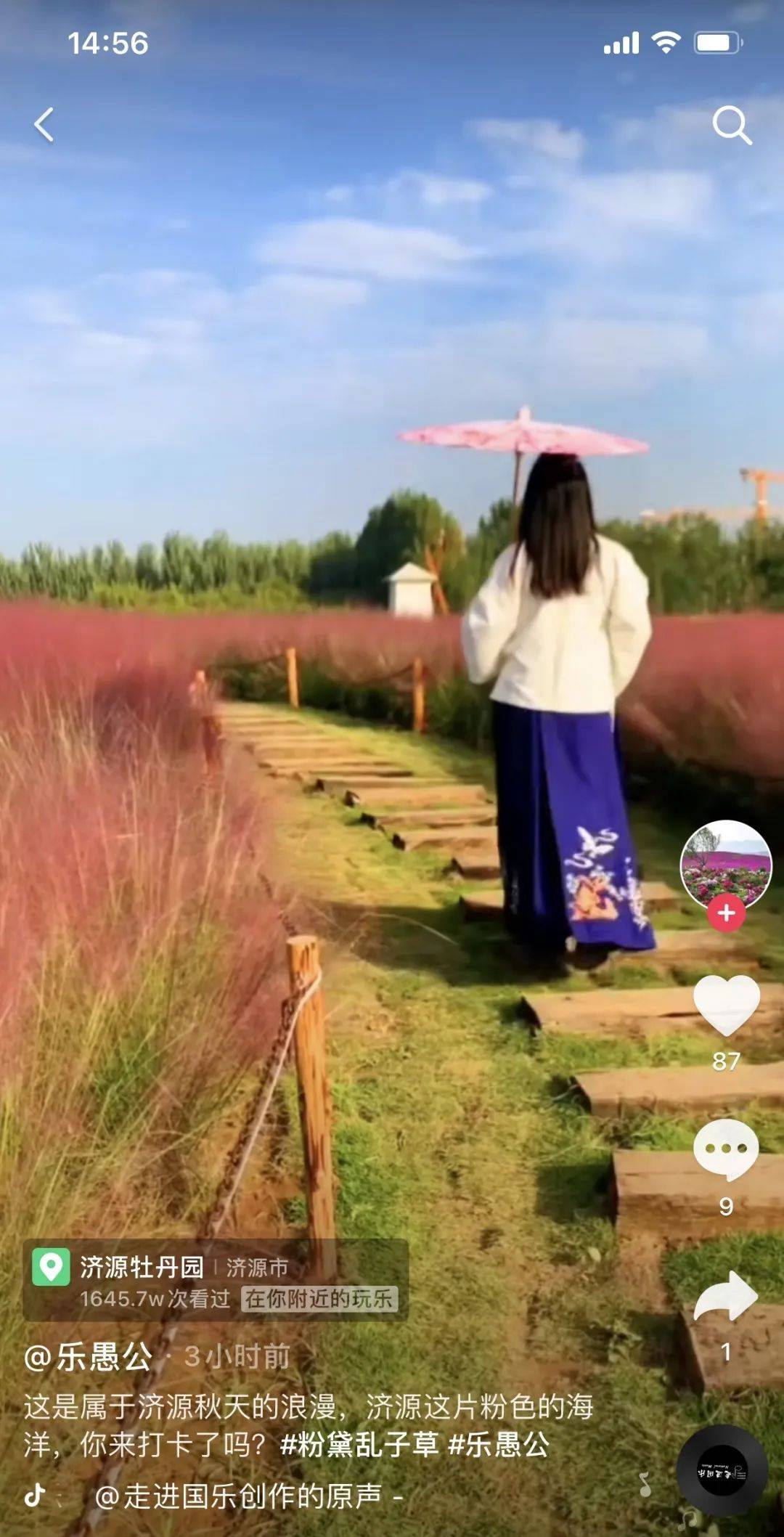 抖音粉黛在哪里?揭开“粉黛”背后的神秘面纱