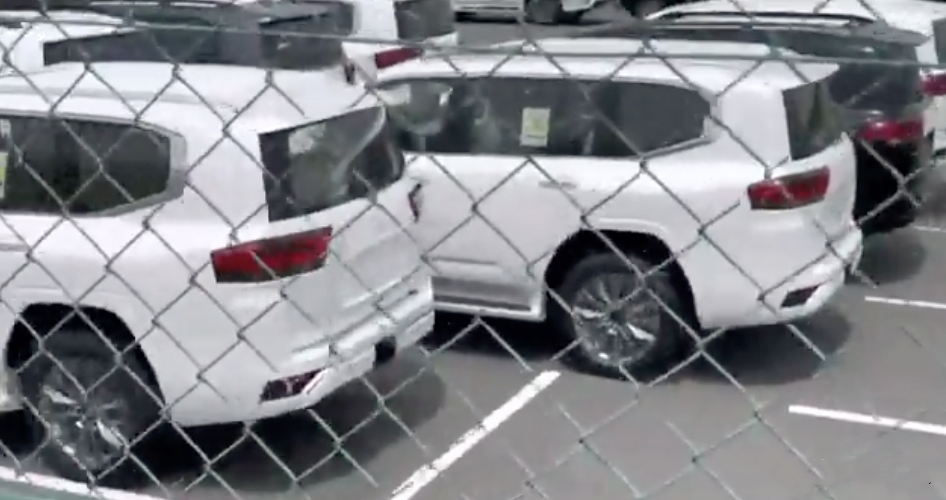 新人发视频多久会涨粉丝?揭秘快速增长的秘密!