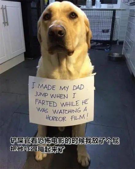 如何提升头条播放量,快速获取更多流量?