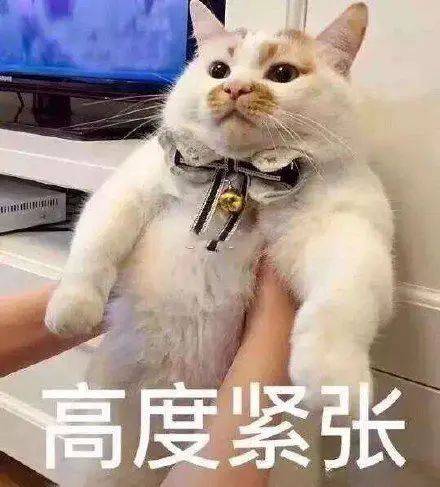 快手播放100怎么刷？教你快速提升视频播放量的技巧