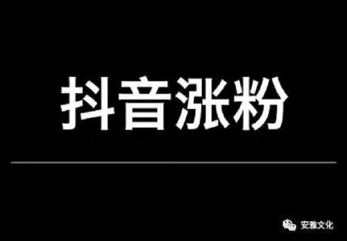 如何在抖音上快速涨粉丝？探秘成功之道