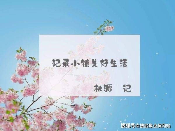 懂车帝如何制作短视频,助你轻松打造爆款内容