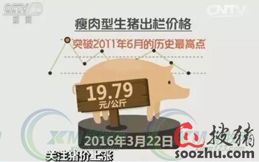 六万粉丝要涨多久?揭秘粉丝增长的秘密