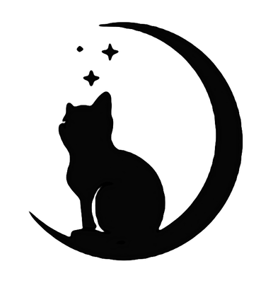飞猫伴侣：如何在短短时间内增长2000粉丝？