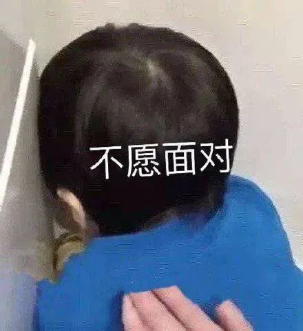 抖音狗去哪里喂?带你探索宠物喂养新趋势!