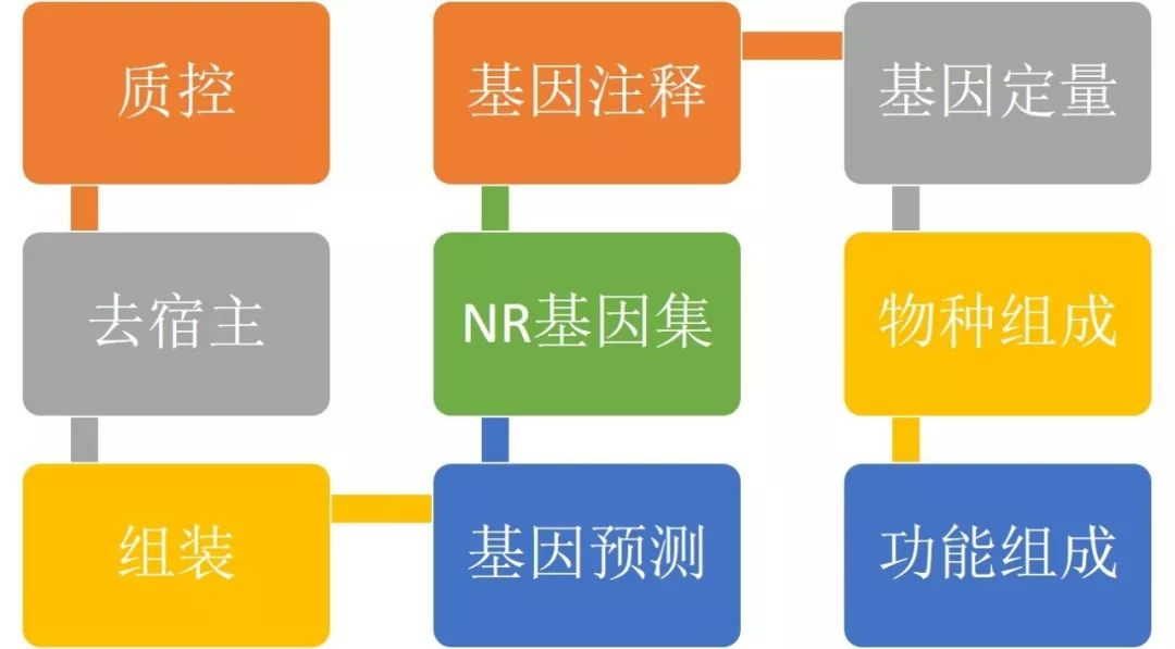如何刷车辆播放协议，提升车主体验的最佳方案