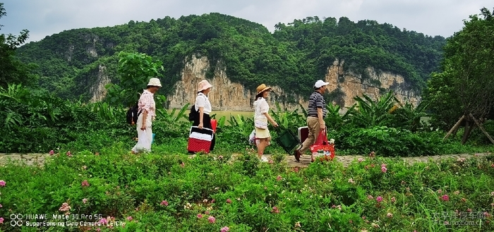 懂车帝帖子如何发视频，轻松打造吸引力十足的汽车内容