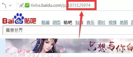 投豆荚多久开始涨粉丝？从小白到大咖的秘诀揭秘