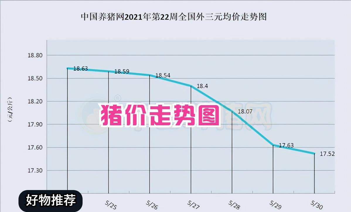 如何高效增长粉丝，最快多久涨一千粉丝？