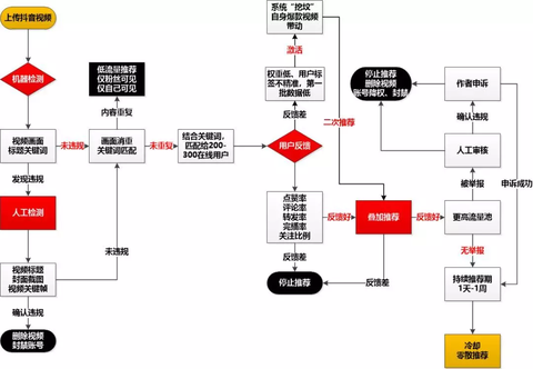 抖音哪里查看违规原因？全面解析如何快速找出违规问题