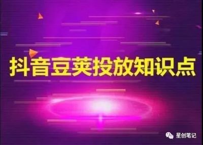 投豆荚多久涨粉丝最多？揭秘最有效的涨粉技巧